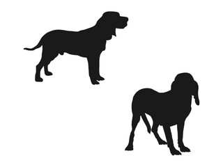 Dunker dog silhouette dog breeds Animal Pet. Black icon. Dunker Norwegian Hound Silhouette Vector. dunker dog Silhouette Bundle SVG. Dunker dog silhouette isolated on white background.