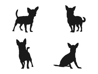 The black silhouette of a Chihuahua dog vector set. Black icon. Isolated Vector Animal. Chihuahua dog Dog Silhouette Bundle SVG. Chihuahua dog silhouette isolated on white background.