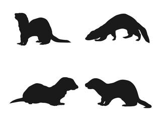 Silhouette of a ferret animal vector illustration. ferret Silhouette Bundle SVG. Ferret vector, Ferret Bundle, Weasel silhouette, Ferret animal vector. ferret silhouette isolated on white background.