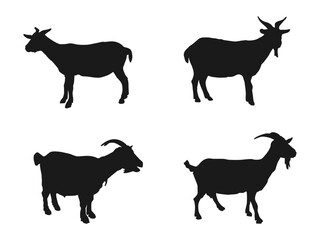 Goat silhouette icon symbol logo black design vector illustration. Goat side view in the grass. Farm goat animal logo design. vector illustration of goat. Goat silhouette isolated on white background.