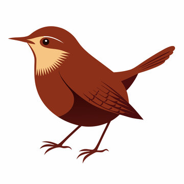 brown bird standing, white background clip art preview
