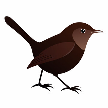 recommend clip art: Wren animal silhouette vector on white background