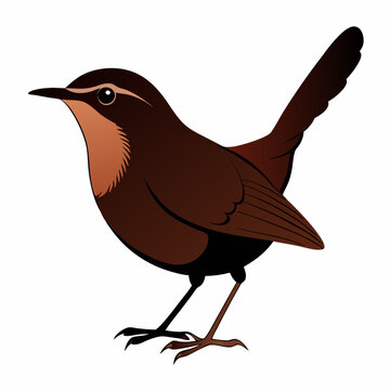 recommend clip art: Wren animal silhouette vector on white background