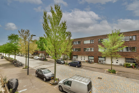 Peaceful suburban street with parked cars and trees