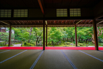 圓光寺の十牛之庭