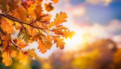 Autumn oak leaves on a tree with a blurred background of a sunny sky, showcasing the vibrant colors of fall against a bright, clear backdrop.