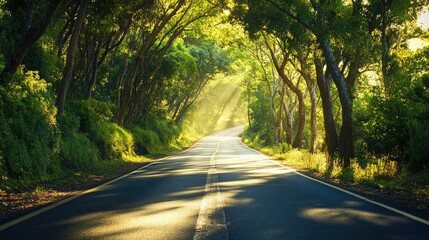 Close-up of a scenic road with a canopy of trees arching overhead, creating a tunnel of green and dappled sunlight