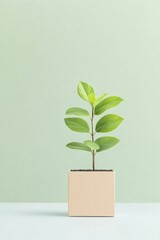 Developing innovative strategies that adapt to change while fostering sustainable practices for long-term success.
