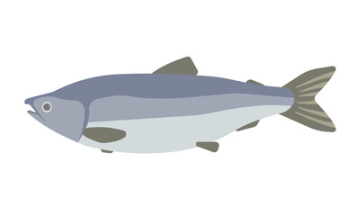 鮭のイラスト