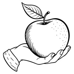Engraved Vintage Apple in Hand  Organic Fruit Sketch Design 