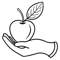 Engraved Vintage Apple in Hand  Organic Fruit Sketch Design 
