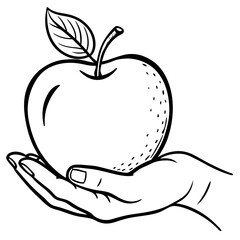 Engraved Vintage Apple in Hand  Organic Fruit Sketch Design 