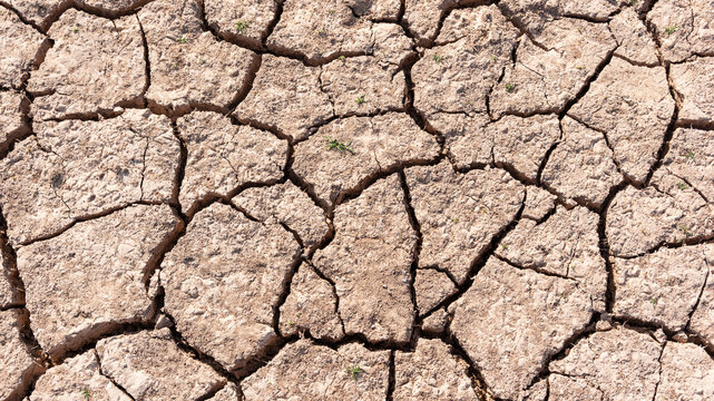 Detalle de tierra seca, agrietada debido a la sequ&iacute;a