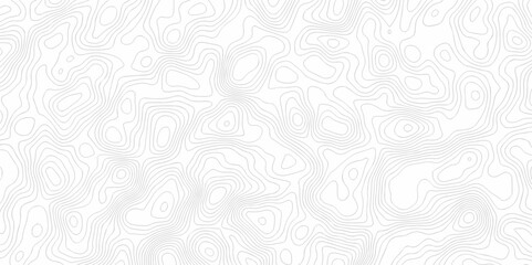 Vector seamless wave stripe topography map pattern camping grid cartography diagram black and white geometric carve wave line. abstract landscape topography line map wavy texture design background.