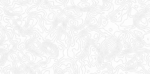 Vector geography landscape Topo contour map on white background, Topographic contour lines. Seamless pattern with lines Topographic map. Geographic mountain relief diagram line wave carve pattern.