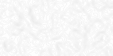 Vector seamless wave stripe topography map pattern camping grid cartography diagram black and white geometric carve wave line. abstract landscape topography line map wavy texture design background.