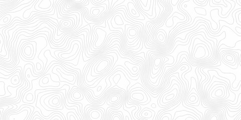 Vector seamless wave stripe topography map pattern camping grid cartography diagram black and white geometric carve wave line. abstract landscape topography line map wavy texture design background.