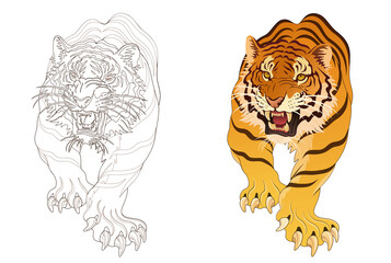 Tiger line artwork, tattoo design, artwork background material, transparent background 건대타투 타투달 호랑이 문신도안