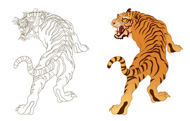 Tiger line artwork, tattoo design, artwork background material, transparent background 건대타투 타투달 호랑이 문신도안