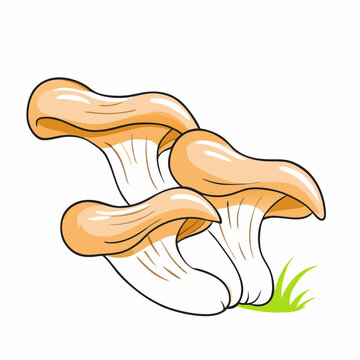 recommend clip art: Mushrooms oyster surround isolated on white background with grass (2)