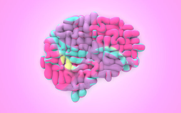 Neuroplasticity, conceptual illustration