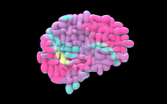 Neuroplasticity, conceptual illustration
