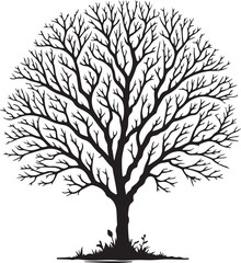 Obraz premium Tree without leaf silhouette vector style white background