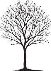 Obraz premium Tree without leaf silhouette vector style white background