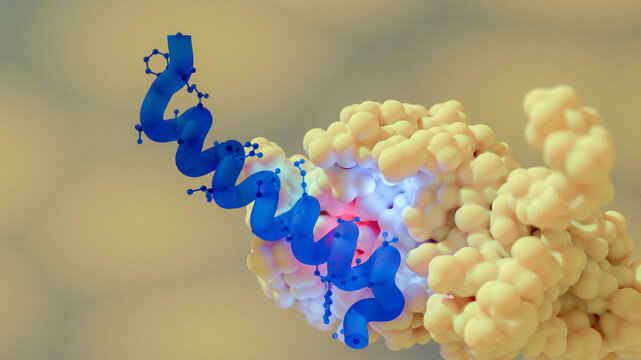 Semaglutide antidiabetic drug, illustration