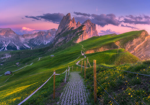 Seceda mountain at beautiful sunset in summer in Dolomites, Italy. Colorful landscape with mountain peaks, rocks, alpine meadows, trail, green grass, purple sky at dusk. Hiking in Alps. Landscape