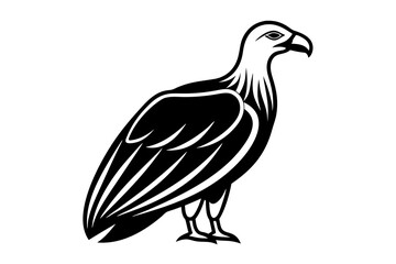 Condor vector on a white background