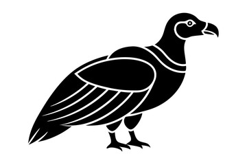 Condor vector on a white background