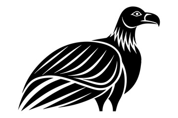 Condor vector on a white background