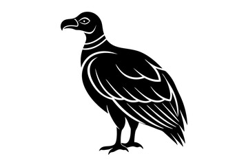 Condor vector on a white background