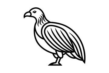 Condor vector on a white background