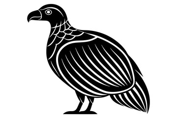 Condor vector on a white background