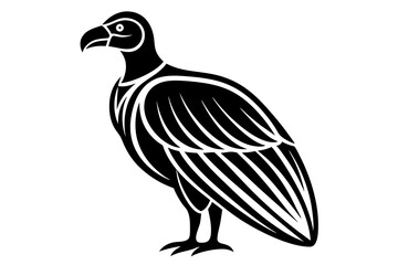 Condor vector on a white background