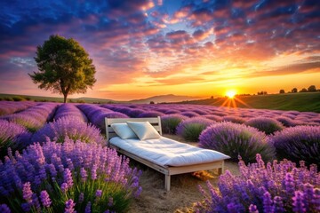 Tranquil Haven: Relaxing, Peaceful, Sleep, Lavender, Tranquility