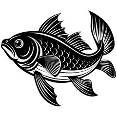 fish on a white