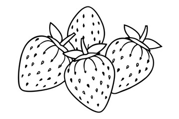 Set of Strawberry fruit Vector style on a line art White Background