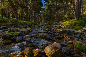 rio Eresma 