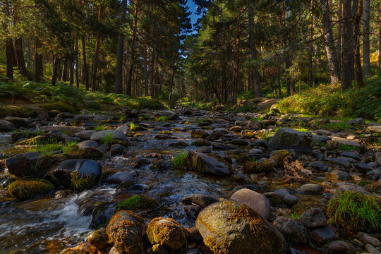 rio Eresma 