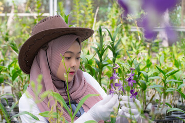 young asian woman farmer in hijab showing her flower garden, modern agriculture and plantation concept