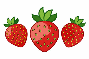 Set of Strawberry fruit Vector style on a White Background