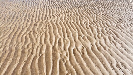 ripples in the sand . Sand wave texture background 