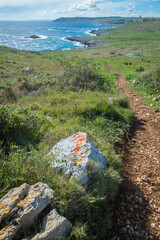 Una freccia arancione dipinta su un sasso indica la direzione del Cammino del Salento che da Lecce...