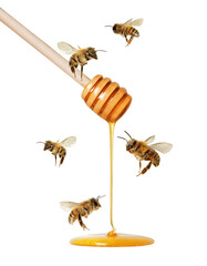 Wooden honey dipper and flying bees with pouring honey close up isolated on a white background