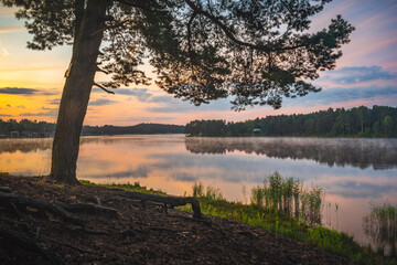 Drzewo nad jeziorem o wschodzie słońca © Krzysztof Rostkowski