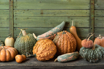 Different Types of Pumpkins and Winter Squashes