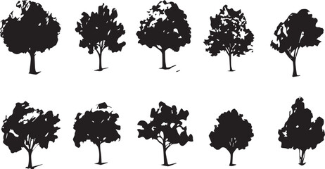 Set Trees. Hand drawn vector illustration	